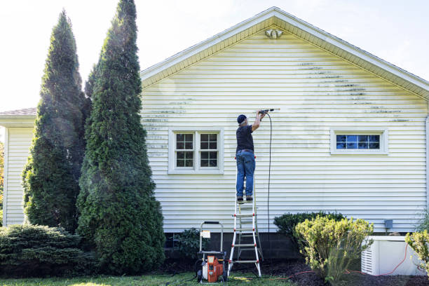 Best Soft Washing for Delicate Surfaces in Nicholson, GA